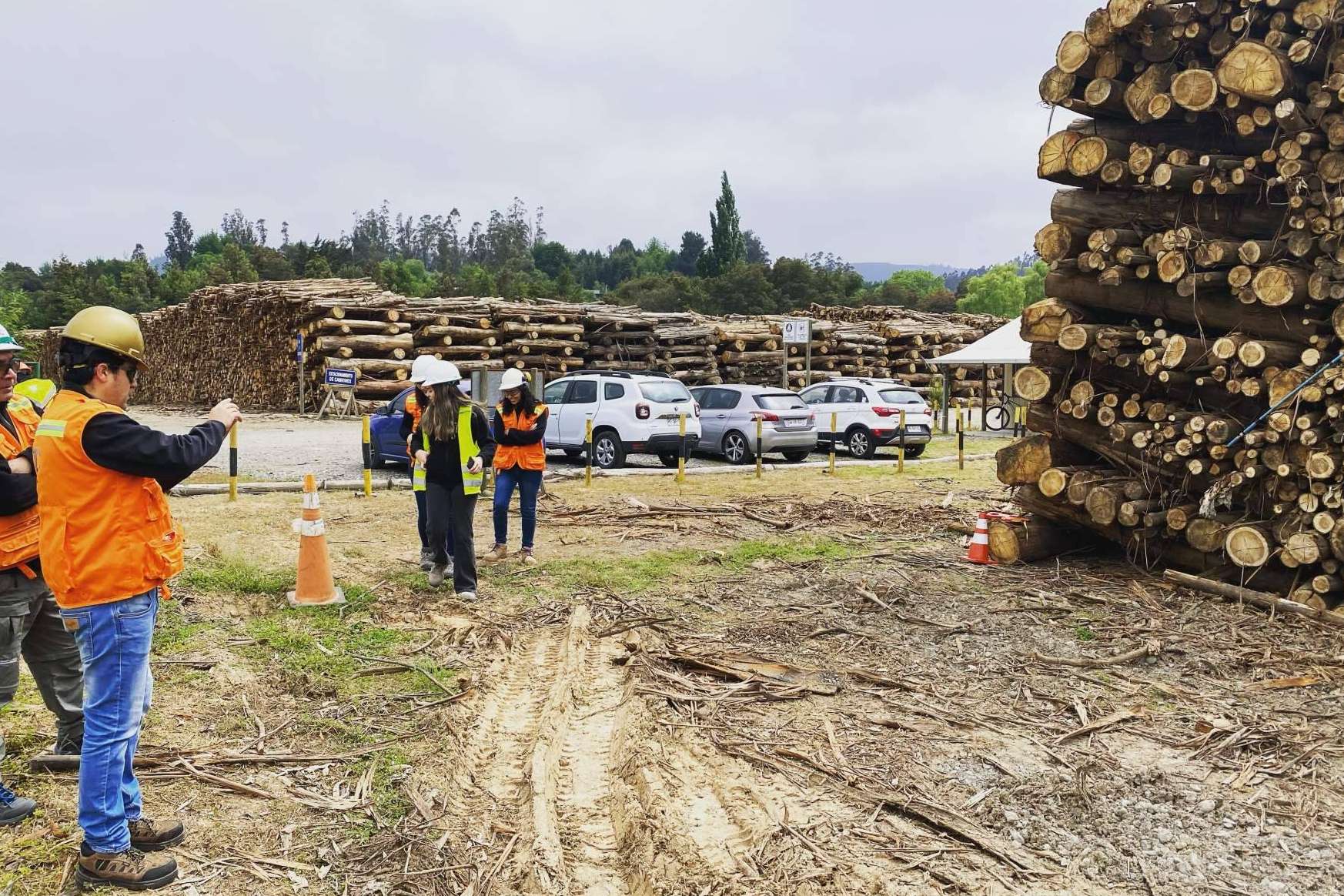 TTC es una empresa experta en el desarrollo de software para la industria forestal