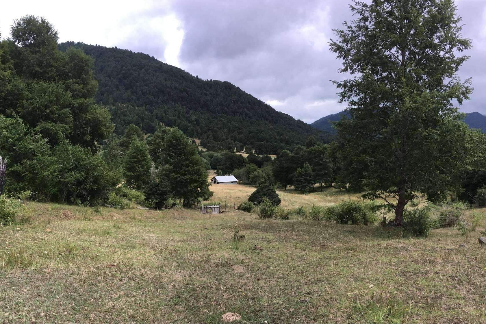 Variedad de opciones en terrenos y casas para comprar o alquilar cerca de la naturaleza